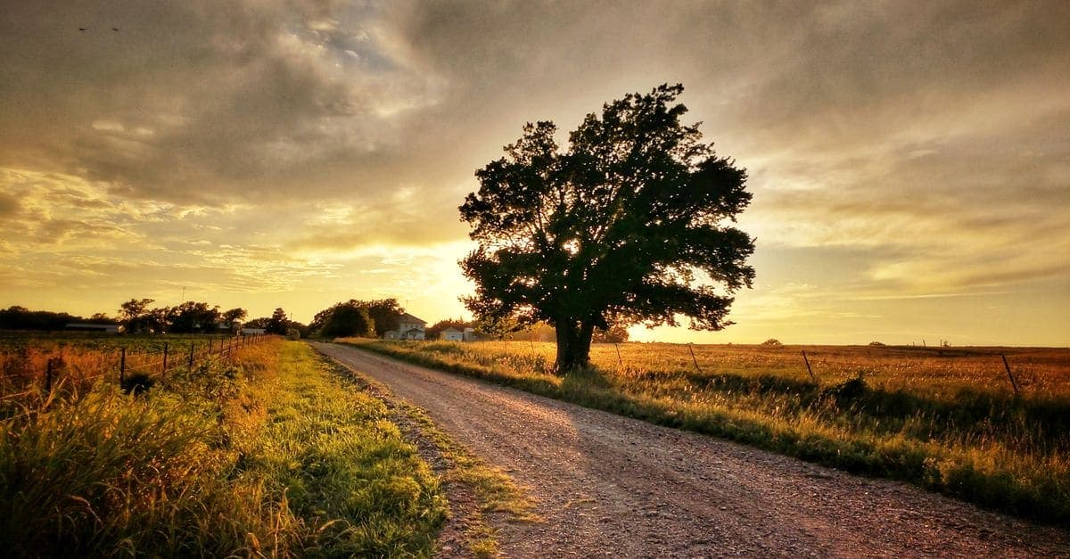 Rural Community Immigration Pilot
